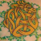 Celtic Knot Dragon Tattoo