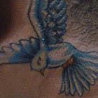 Small Dove Neck Tattoo