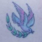 Red Winged Dove with Olive Branch Tattoo