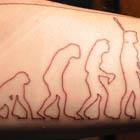 Stages of Evolution Tattoo