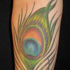 Peacock Feather Arm Tattoo