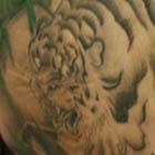 Bamboo Tiger Tattoo