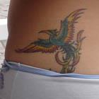 octopus and phoenix tattoos th Tattoo Spots