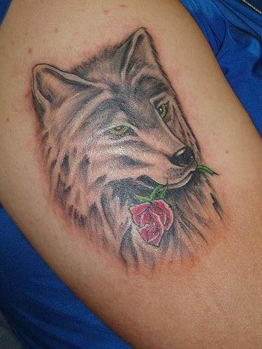 wolf with rose tattoo Wolf with Rose Tattoo