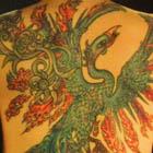 Blue Phoenix Full Back Tattoo