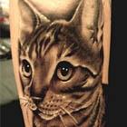 Tabby Cat Tattoo